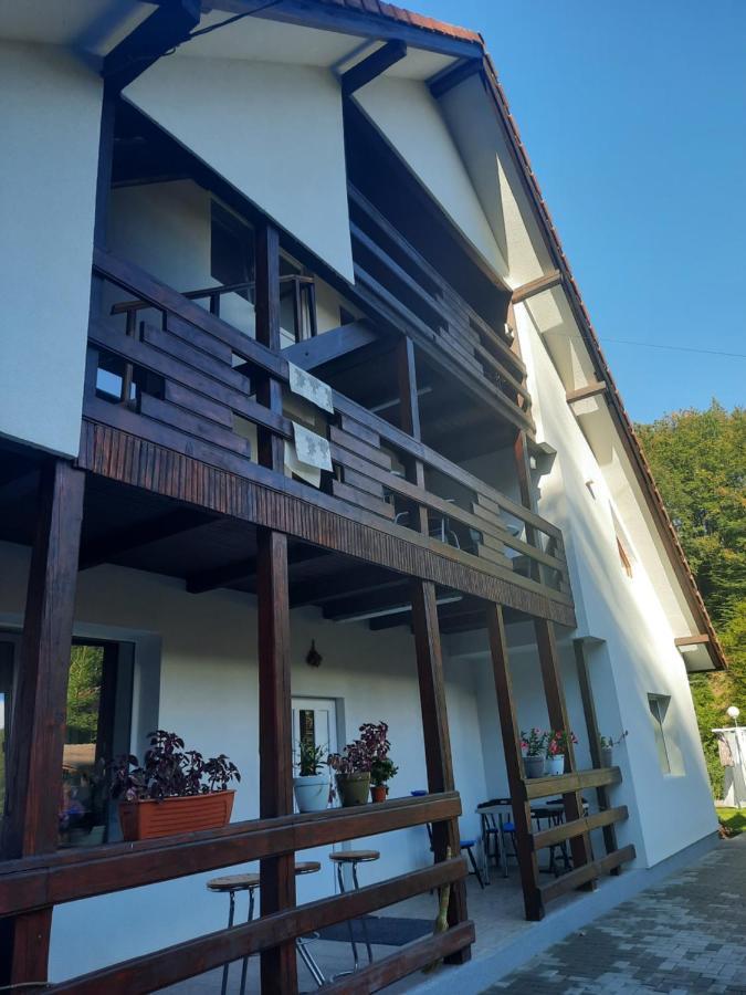 Casa Maia Cartisoara Exterior foto