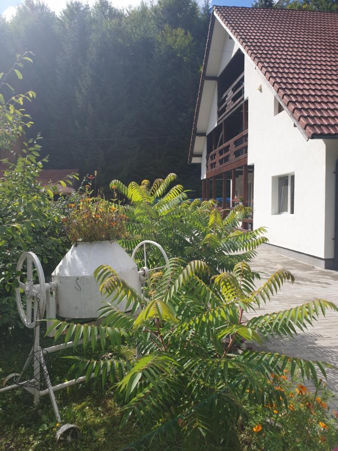 Casa Maia Cartisoara Exterior foto