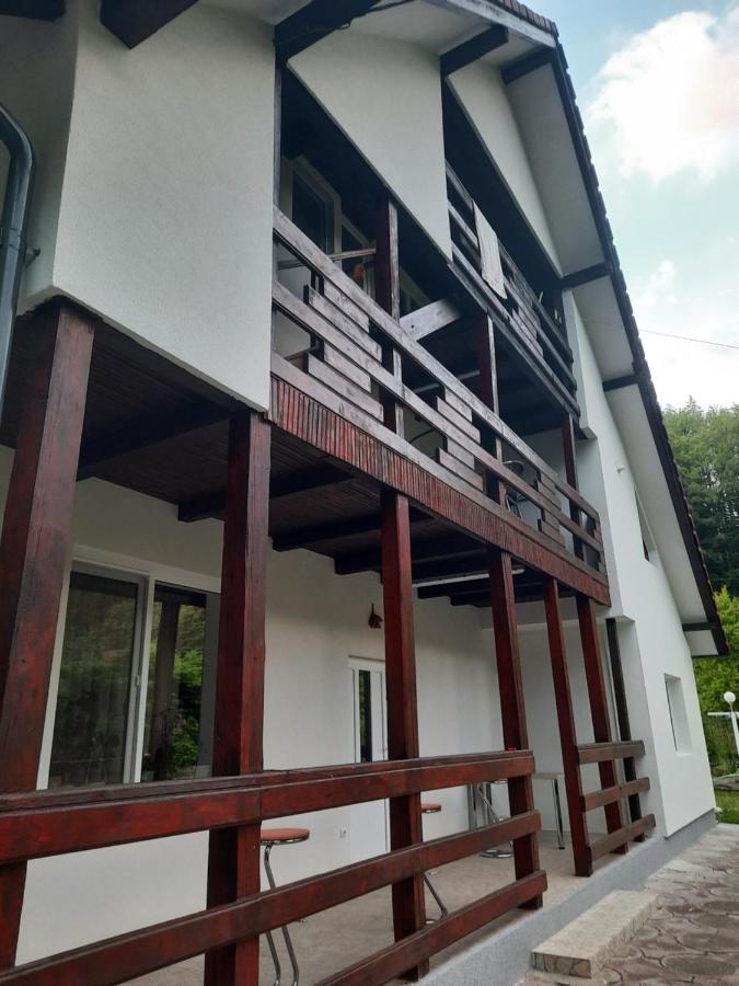 Casa Maia Cartisoara Exterior foto