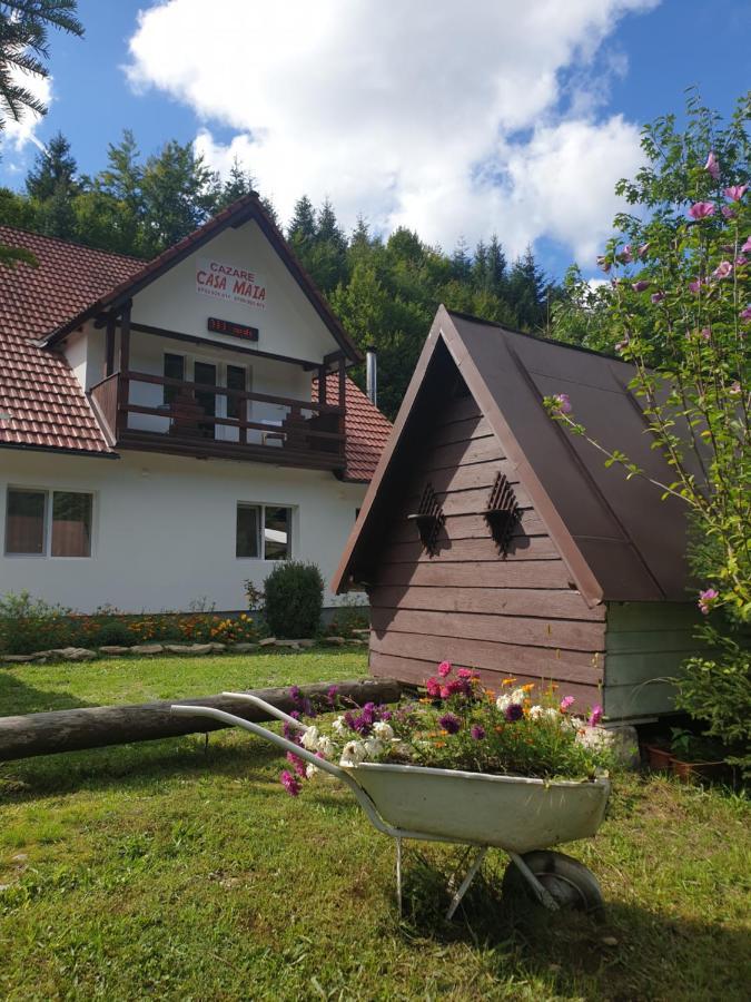 Casa Maia Apartamento Cîrţişoara Exterior foto