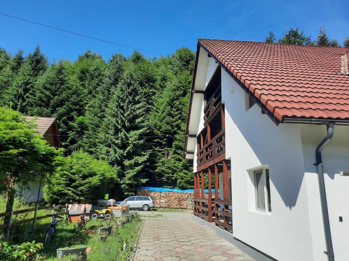 Casa Maia Cartisoara Exterior foto