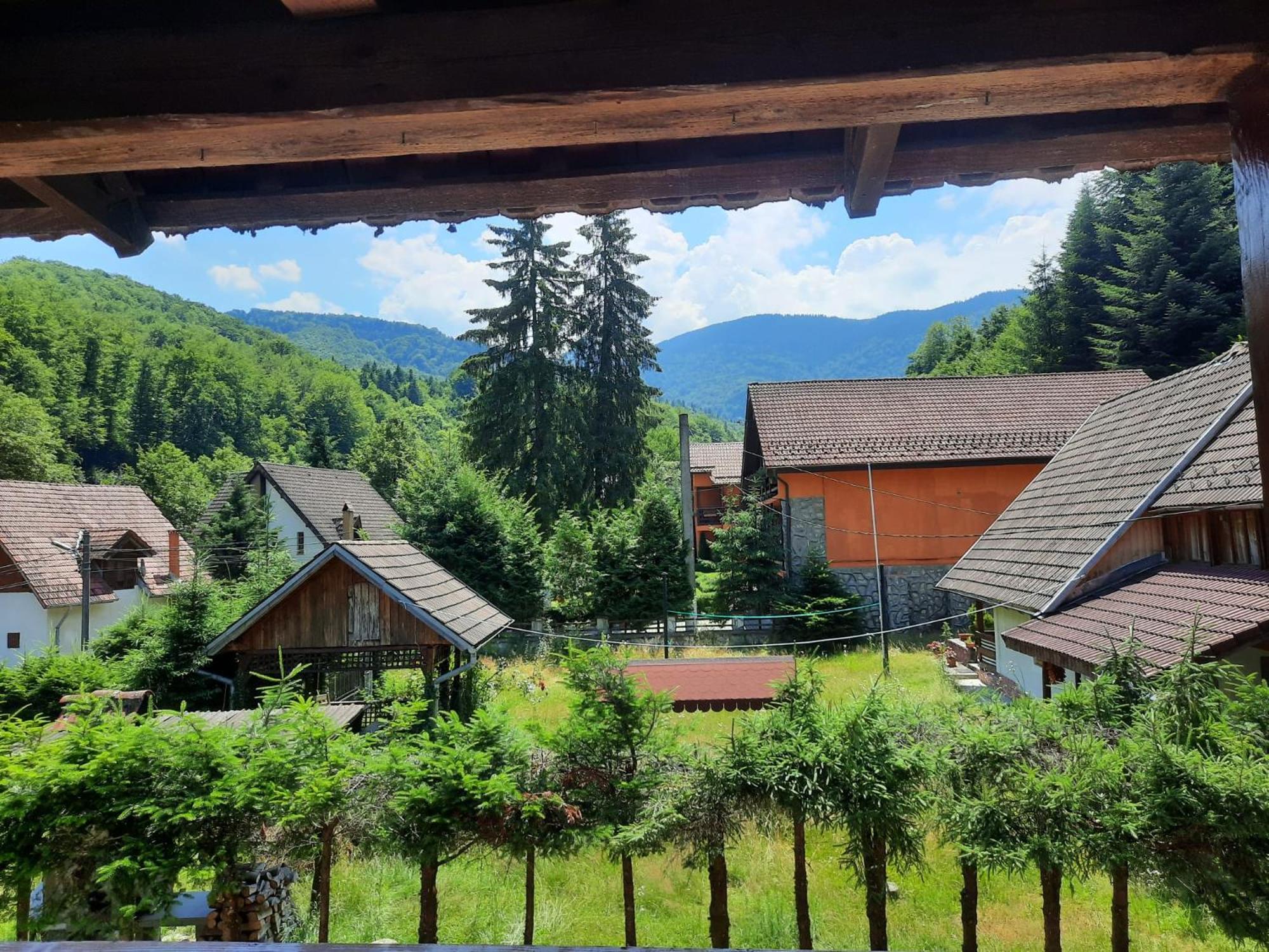 Casa Maia Apartamento Cîrţişoara Exterior foto